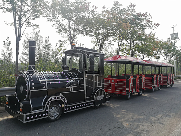 Unique amusement sightseeing train ride