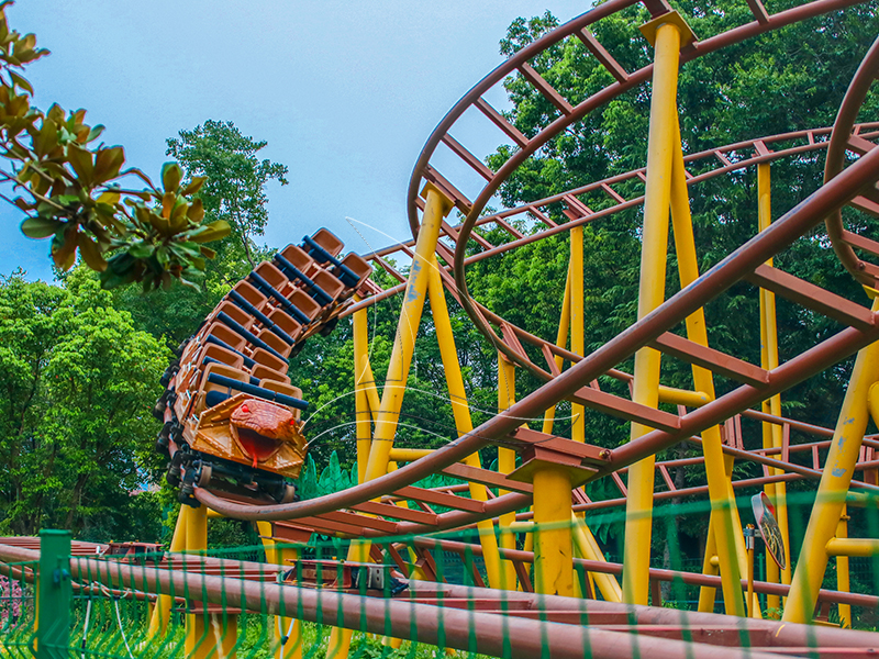 Family Roller Coaster For Theme  Park