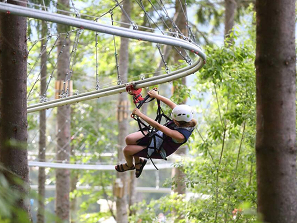 Jungle Zipline